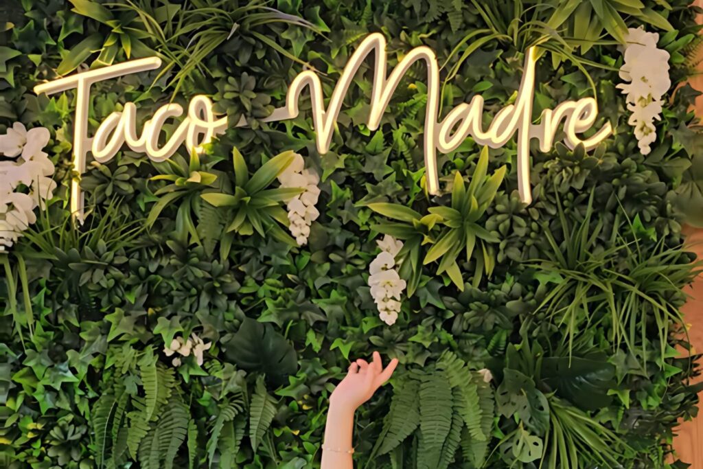 Discover Taco Madre: Augusta’s Hot Spot for Tacos and More!