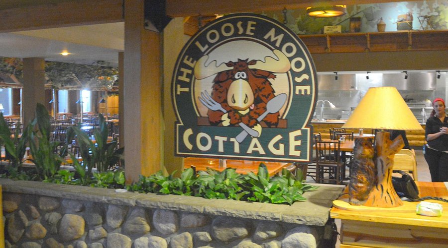 Fun breakfast buffet setup at Great Wolf Lodge
