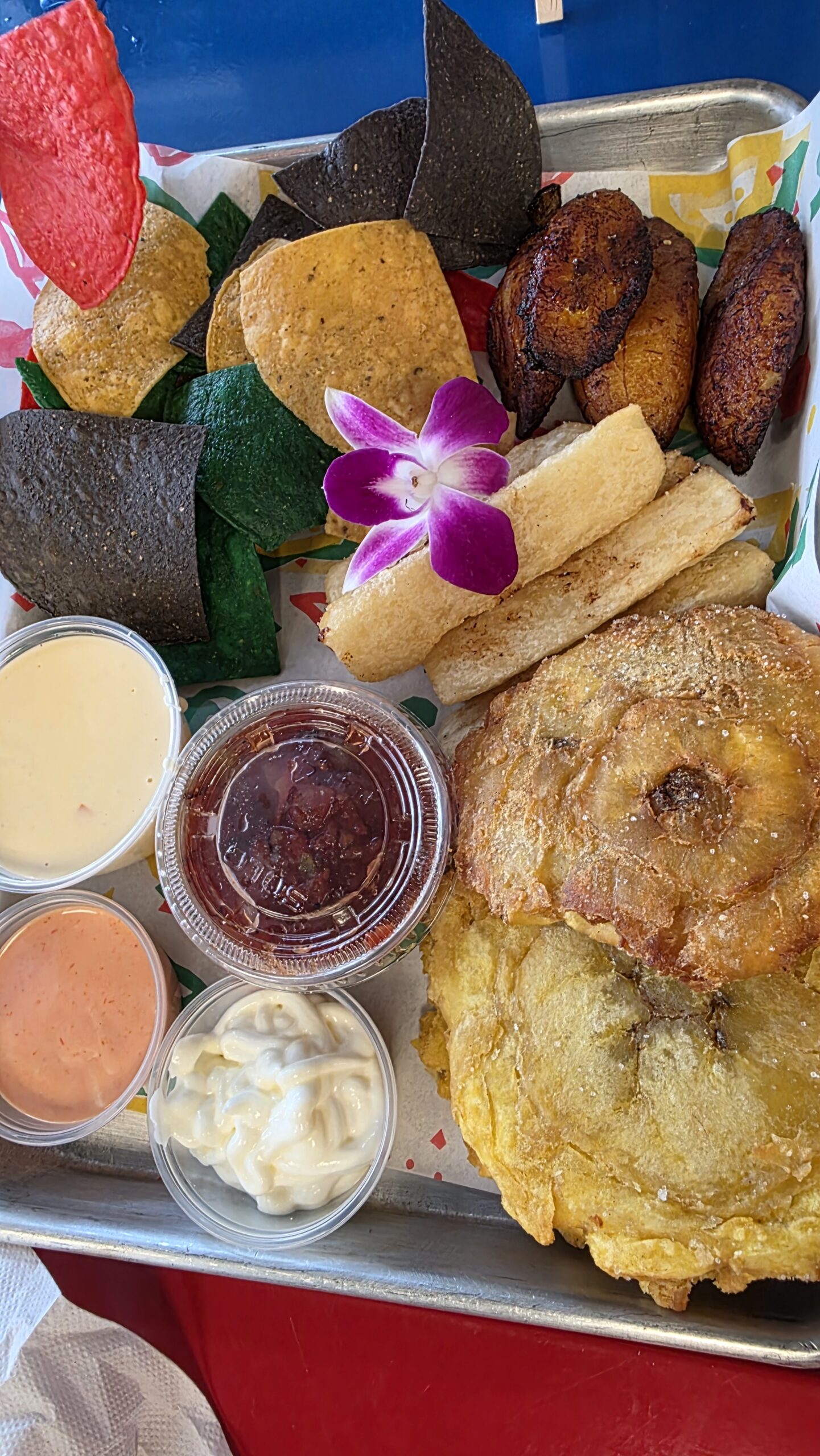 Colorful Latin American meal with plantains, yuca fries, sauces, chips, and entrées at El Tejano Latin Cuisine Express